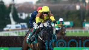 Galopin Des Champs chasing Irish Gold Cup hat-trick