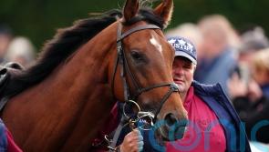 Coolmore thrilled with initial response to superstar rookie stallions