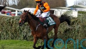 Noble Yeats getting plenty of &lsquo;TLC&rsquo; but racing future very much up in the air