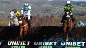 Jagwar to take direct Cheltenham route