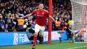 Seventh heaven for Nottingham Forest as Chris Wood helps hammer sorry Brighton