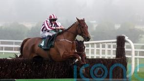 Jeannot Lapin now has Flyingbolt bid at Navan on his radar