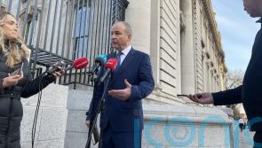 Trump&rsquo;s comments on US-owned Gaza &lsquo;concerning&rsquo; &ndash; Irish foreign affairs minister