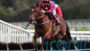 Indo returns to hurdles at Navan as Grand National preparation gathers pace