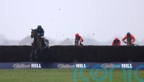 Djelo goes the distance with Denman victory