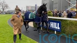 Sprinter Sacre and Altior continue to pull crowds during Newbury parade