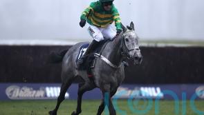 Joyeuse sparks Newbury celebrations for Henderson