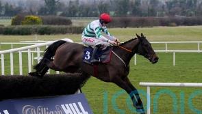 Better Days Ahead holds off stablemate Stellar Story at Navan