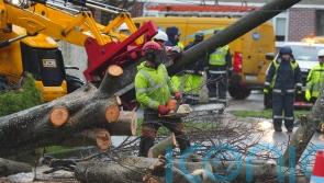 Crews working on final 700 premises without power after Storm Eowyn