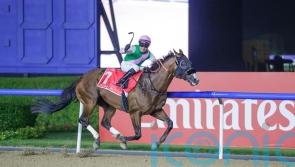 Laurel River to miss Saudi trip but Dubai World Cup defence still on