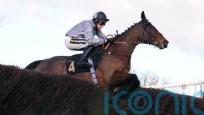 Telepathique to take Mares&rsquo; Chase test