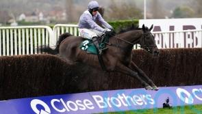 Talented My Drogo set for Haydock appearance