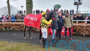 Future looks bright for Kitzbuhel after Gowran Park strike