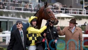 Lulamba enters Adonis equation