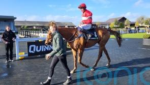 High Class performance at Punchestown books Cheltenham ticket