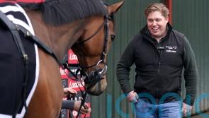 &lsquo;I love everything about him&rsquo; &ndash; The New Lion ready to roar at Cheltenham