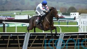 Charm offensive being prepared by Twiston-Davies team