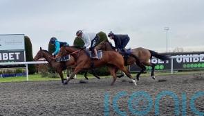 Lulamba and Palladium both &lsquo;super&rsquo; in Kempton workouts