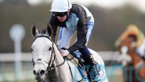 Roaring Legend in line for lofty targets after Lingfield romp