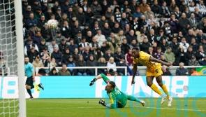 Danny Welbeck seals Brighton comeback as they dump Newcastle out of FA Cup