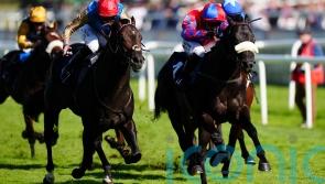 Big Mojo to be primed for Commonwealth Cup bid