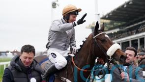 Cheltenham visit off the agenda for French raider Gold Tweet