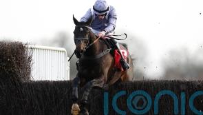 Il Est Francais ready to enjoy &lsquo;home&rsquo; comforts in Cheltenham bid