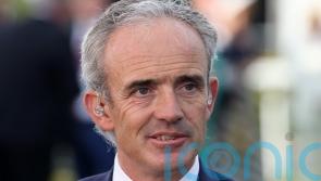 &lsquo;Spectacular&rsquo; Brighterdaysahead can do an Annie Power in Champion Hurdle, says Walsh