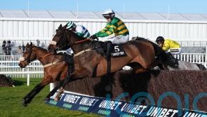 Jagwar team to make late Cheltenham call