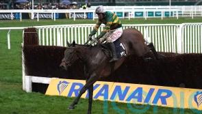 Inothewayurthinkin set to be added to Gold Cup field