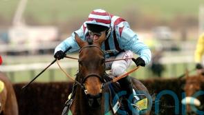 Knight expecting three Gold Cups for Galopin &ndash; and maybe four