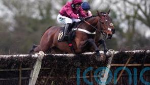 Bowen blow leads to Cobden picking up Palladium ride in Triumph