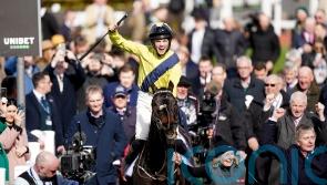Connell prepared for &lsquo;highly charged&rsquo; return to Cheltenham