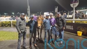 Titanium Emperor impresses in scaling Mount Kilimanjaro at Dundalk