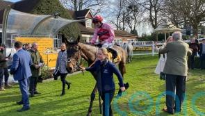 Go Dante returns to form for Imperial Cup repeat