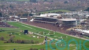 Cheltenham anticipating drop in Festival attendance