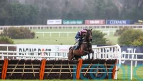 Mullins keen to keep Kopek cool in what will be an emotionally-charged Supreme test