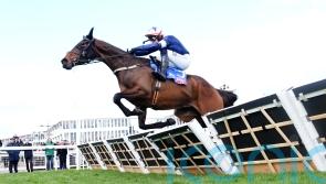 Supreme performance sees Kopek Des Bordes crowned at Cheltenham