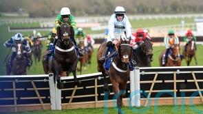 Doddiethegreat becomes another poignant Cheltenham winner