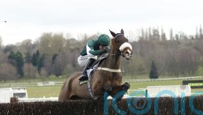 Minella Blueway continues progression at Uttoxeter