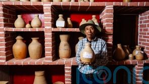 &lsquo;Irish aid is vital&rsquo;: At a seed vault in Guatemala, hope grows