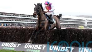 Irish National aim for National Hunt hero Haiti Couleurs