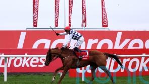 Banbridge on course for Punchestown following Cheltenham disappointment