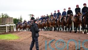 &lsquo;Very quick&rsquo; Australian import Storm Boy impressing at Ballydoyle