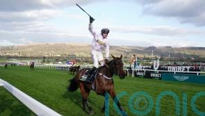 Champion Hurdle heroine Golden Ace on course for Punchestown