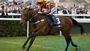 Dancing Gemini shows off winning Mile moves