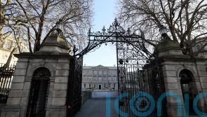 14 arrested at protest against Israel&rsquo;s war in Gaza after Leinster House blocked