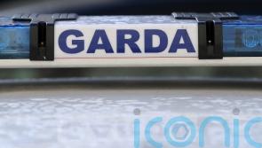 Ten arrested in large garda operation