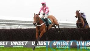 Jango Baie ready for Manifesto test following last-gasp Arkle success