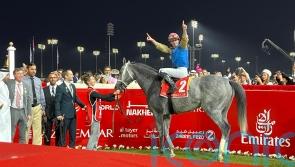 Hit Show flies home to deny Dettori Dubai World Cup joy
